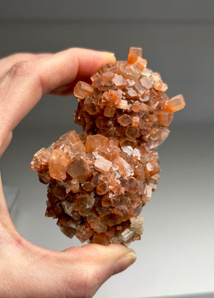 4 Piece Lot ! Aragonite Disco Ball Specimens