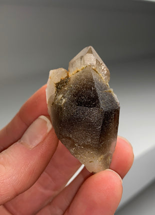 Smoky Scepter Quartz Lot - Hallelujah Junction, Nevada - 6 Pieces !