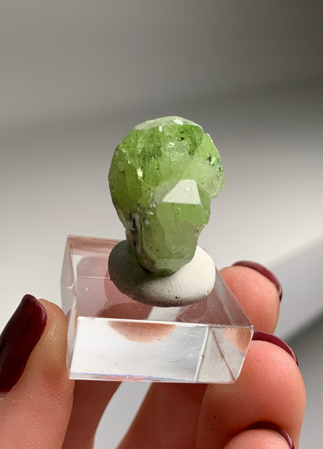 Green Diopside with Graphite - Merelani Hills, Tanzania