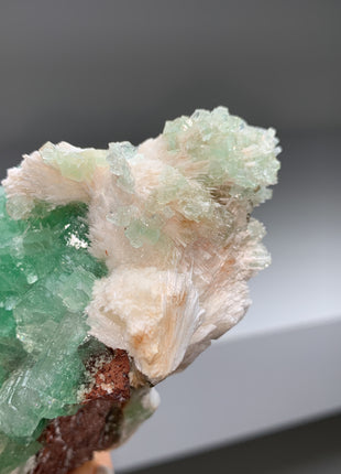 Green Apophyllite with Scolecite - Collection # 189