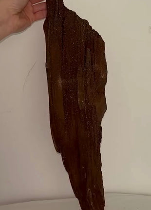 Stunning and Rare Permineralized Fossil Wood with Quartz - From Germany