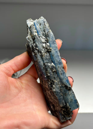 XL Size Blue Kyanite with Mica - From Zambia - 6 Pieces