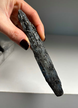 XL Size Blue Kyanite with Mica - From Zambia - 6 Pieces