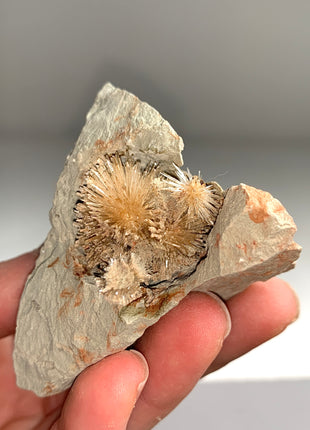Bursting Sun Aragonite Ball in Cluster - From Pantoja, Spain