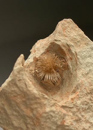 Bursting Sun Aragonite in Cluster - From Pantoja, Spain