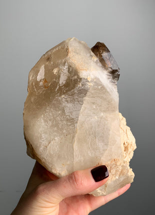 Elestial Smoky Quartz on White Quartz - From Namibia