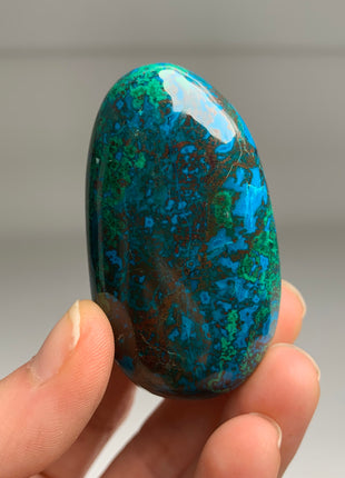 New ! Rich Blue Chrysocolla with Red Cuprite and Green Malachite