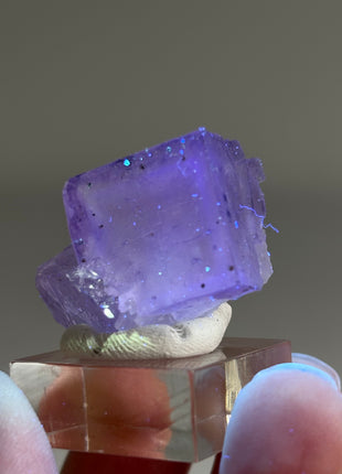 New Arrival ! Galaxy Fluorite