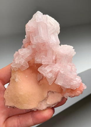 High Grade Pink Halite from Searles Lake, California