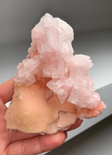 High Grade Pink Halite from Searles Lake, California