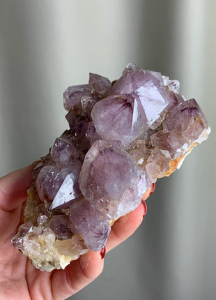 Wow ! Cactus Quartz with Big Crystals - From South African Republic