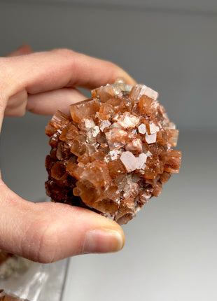 4 Piece Lot ! Aragonite Disco Ball Specimens