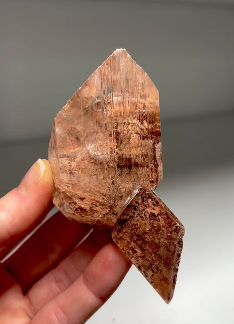 Very Clear Selenite from Mexico