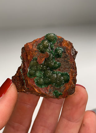 Rare ! Cuproadamite - From Ojuela mine, Mapimi, Mexico
