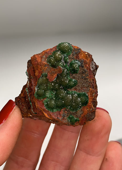 Rare ! Cuproadamite - From Ojuela mine, Mapimi, Mexico