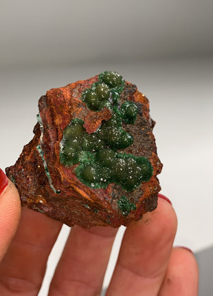 Rare ! Cuproadamite - From Ojuela mine, Mapimi, Mexico