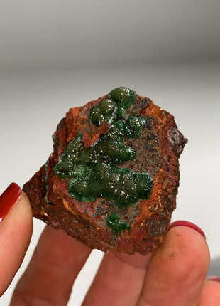 Rare ! Cuproadamite - From Ojuela mine, Mapimi, Mexico