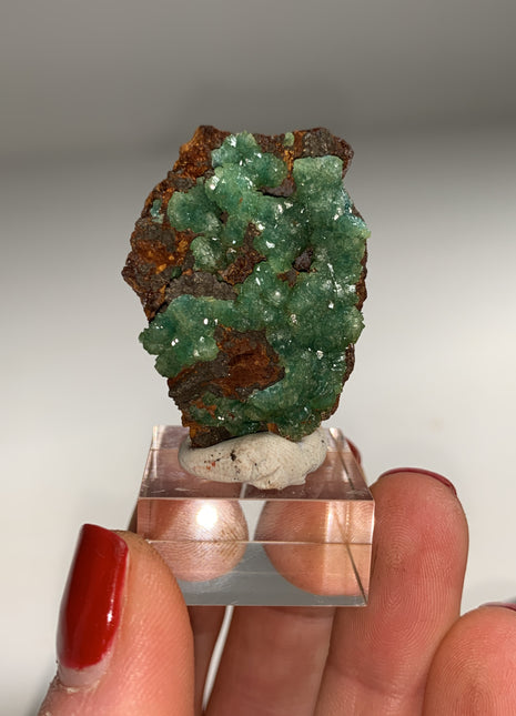 Rare ! Cuproadamite - From Ojuela mine, Mapimi, Mexico Special Price 💥