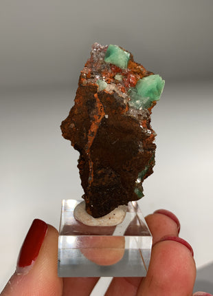 Rare ! Cuproadamite - From Ojuela mine, Mapimi, Mexico Special Price 💥
