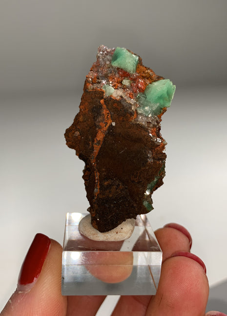 Rare ! Cuproadamite - From Ojuela mine, Mapimi, Mexico Special Price 💥