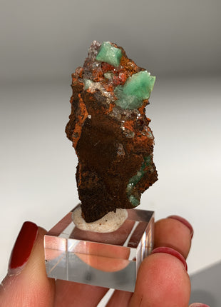 Rare ! Cuproadamite - From Ojuela mine, Mapimi, Mexico Special Price 💥
