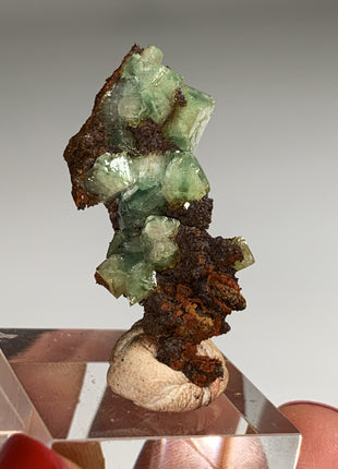 Rare ! Cuproadamite - From Ojuela mine, Mapimi, Mexico