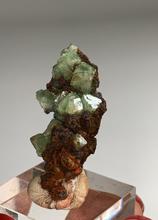 Rare ! Cuproadamite - From Ojuela mine, Mapimi, Mexico