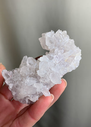 6 Pieces ! Amethyst Flowers Lot - From Irai, Rio Grande Du Sol, Brazil