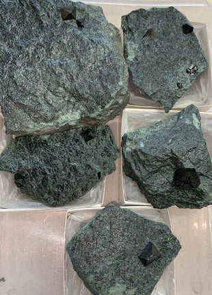 New ! Magnetite With Lustrous Biotite Lot Of 5 Pieces !