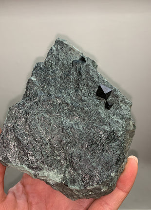 New ! Magnetite With Lustrous Biotite Lot Of 5 Pieces !