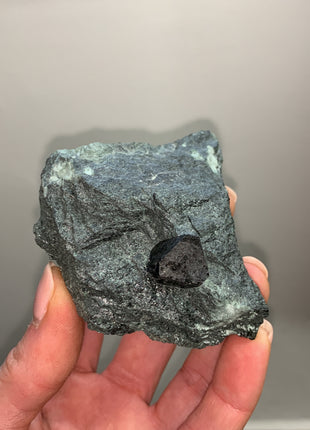 New ! Magnetite With Lustrous Biotite Lot Of 5 Pieces !