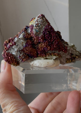 Incredible Color ! Chalcopyrite from Sweetwater mine