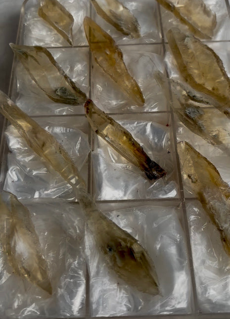 12 Pieces ! Golden Selenite Lot