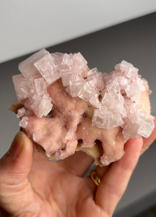Pink Cubic Halite with Trona
