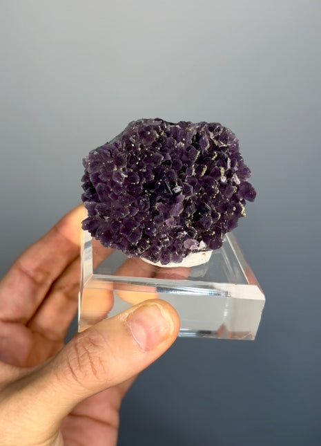 Wow ! Amethyst with Pyrite