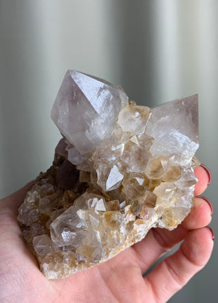 Cactus Quartz Citrine with Big Crystals - From South African Republic