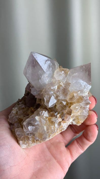 Cactus Quartz Citrine with Big Crystals - From South African Republic