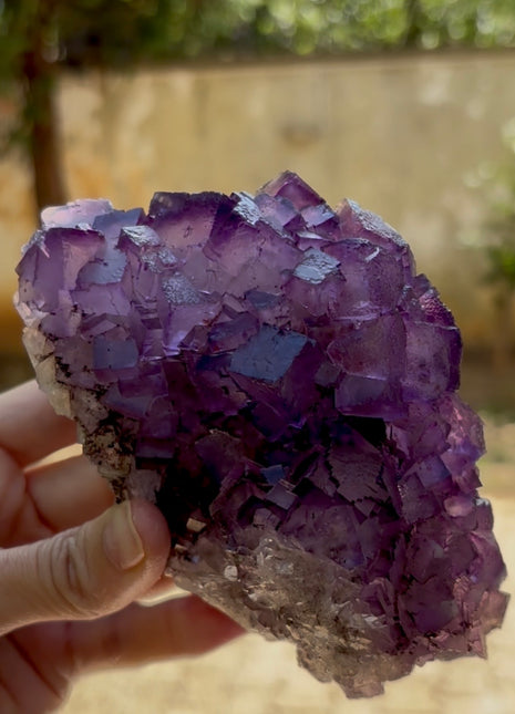 New find ! Fluorite from Turkey PM1063