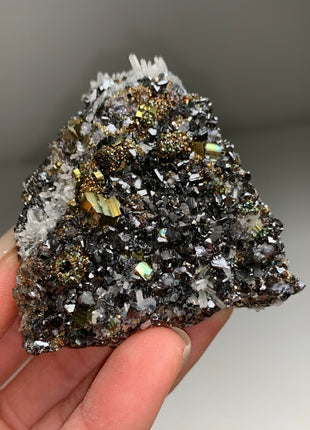 Sphalerite with Pyrite, Galena, Quartz - From Rhodope Mountains, Bulgaria