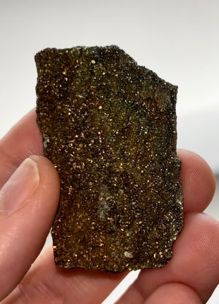 Rare ! Pyritized Petrified Wood PM0686