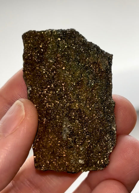 Rare ! Pyritized Petrified Wood PM0686