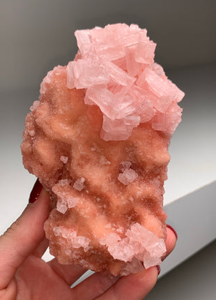 High Grade Pink Halite from Searles Lake, California