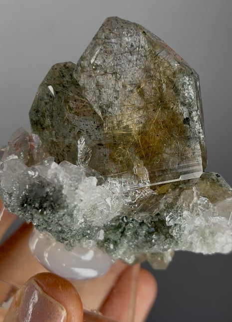 Rutile and Chlorite Faden Quartz Collection # 698