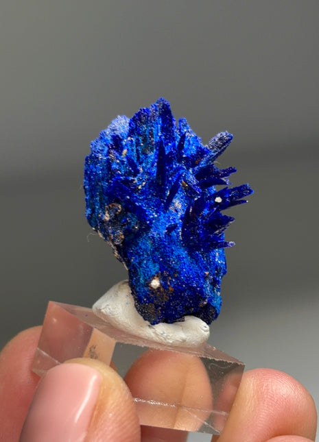 Rich Blue Azurite Specimen