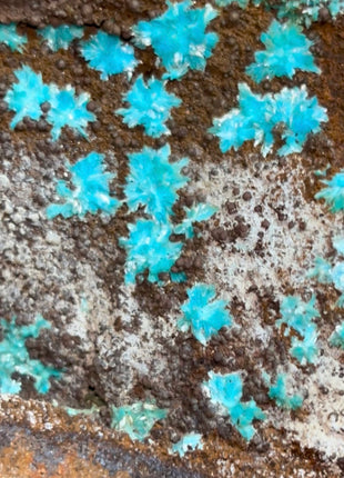 Blue Aurichalcite Flowers PM1209