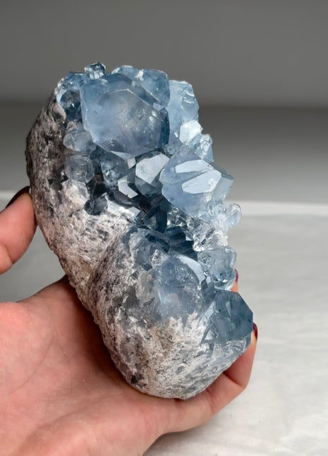 Sky Blue Celestite Geode