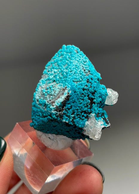 Quartz with Blue Chrysocolla