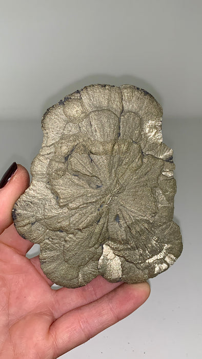 Pyrite Sun - From Sparta, Illinois