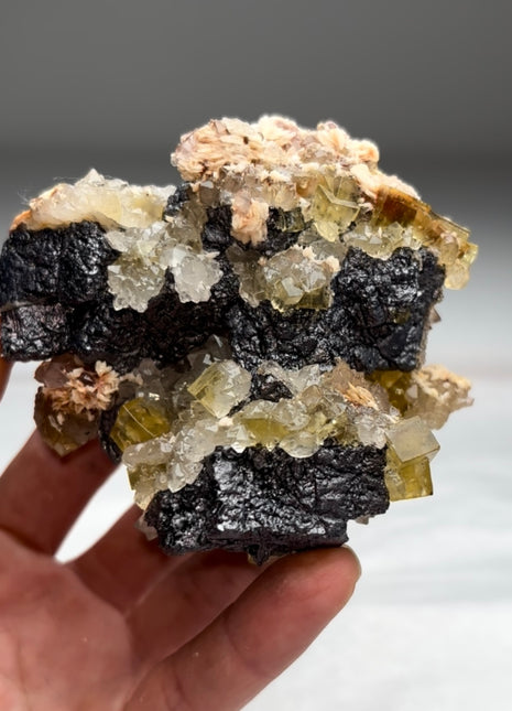 Yellow Fluorite with Barite Flowers and Galena