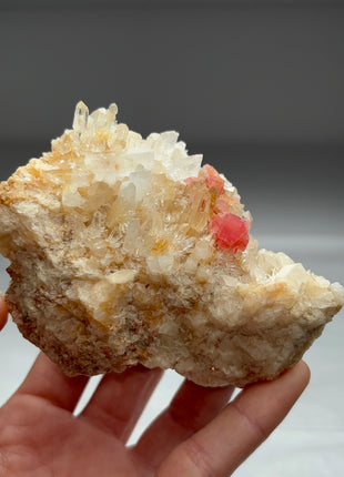 Rhodocrosite with Quartz from Pasto Bueno Collection # 467